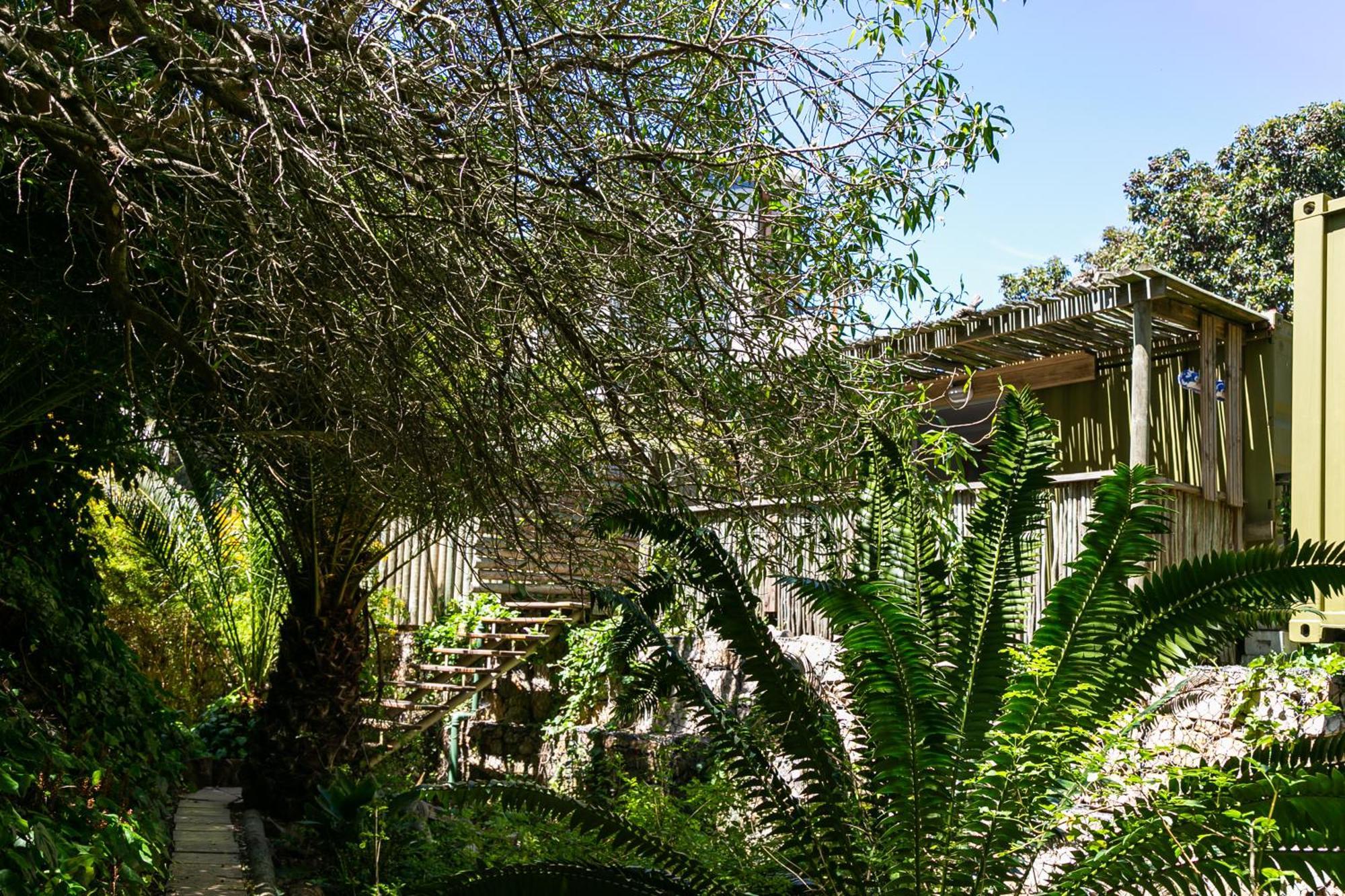 Camps Bay Forest Pods Cape Town Exterior photo